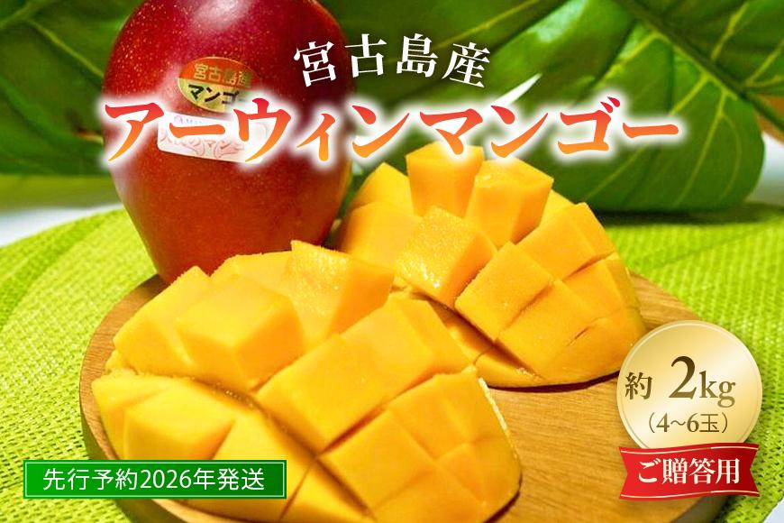 《先行予約2026年発送》『天使のマンゴー』宮古島産アーウィンマンゴー 2kg（4〜6玉）【ご贈答用】「LA MANGUE BLEUE」農家直送（GZ006）