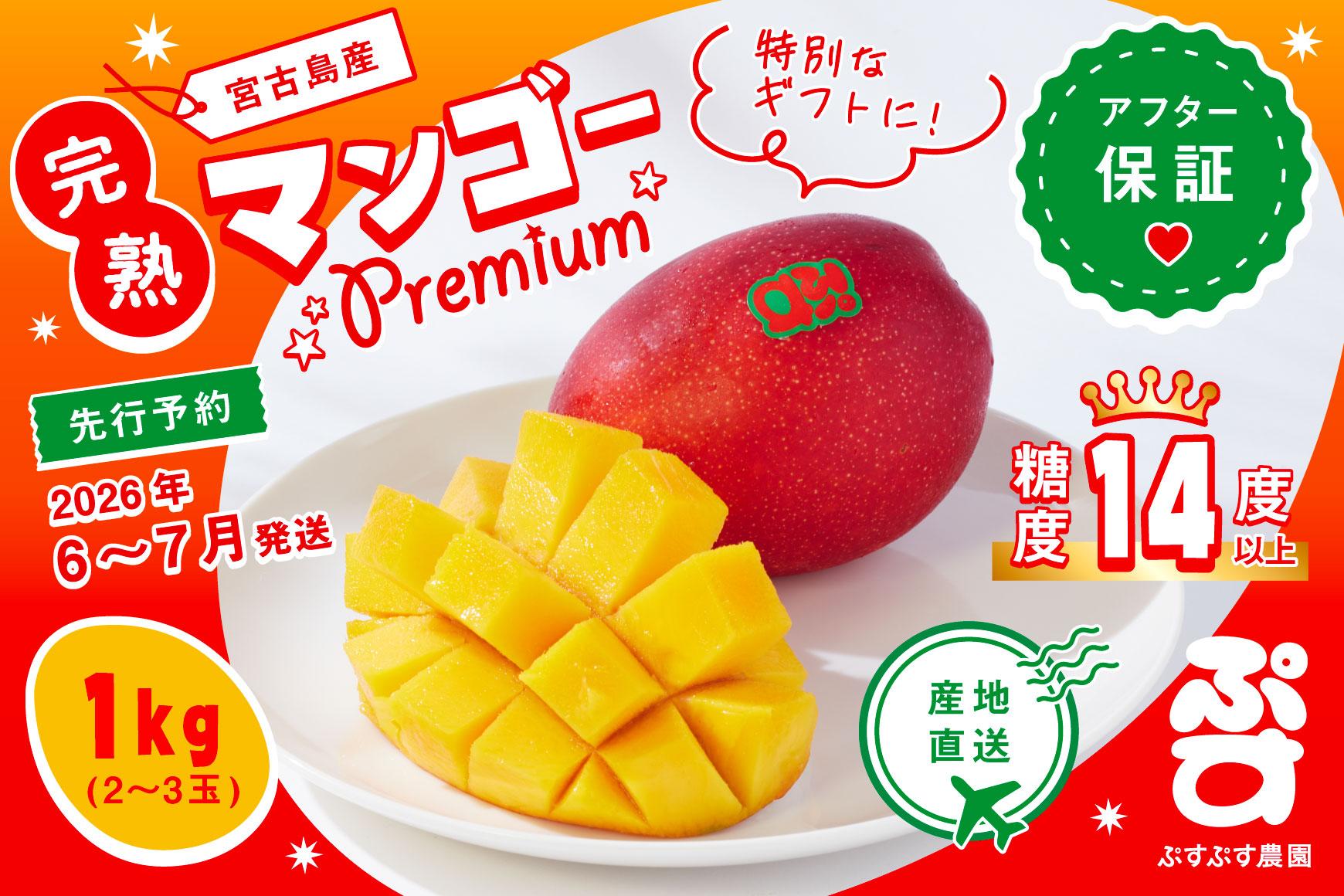 【ぷすぷす農園】＜2026年発送先行予約＞宮古島産完熟マンゴープレミアム（贈答用／1キロ／農園直送）（KY003）