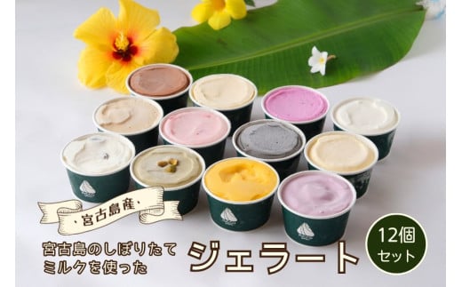 C101　ジェラート12個セット | トロピカル 夏ギフト お中元 夏 クリスマス アイス 詰め合わせ セット ジェラート おやつ お菓子 スイーツ