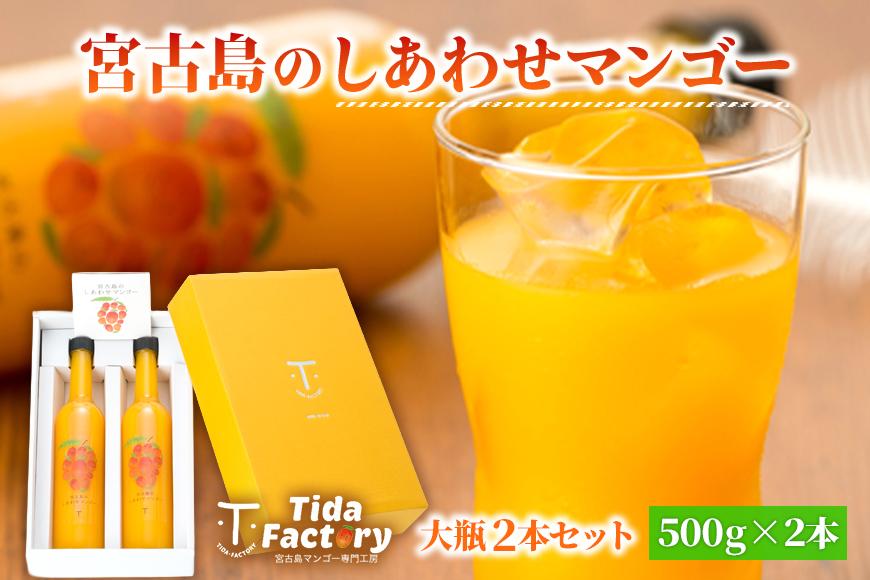 宮古島のしあわせマンゴー　大瓶２本セット【500ｇ×2本】(T114)