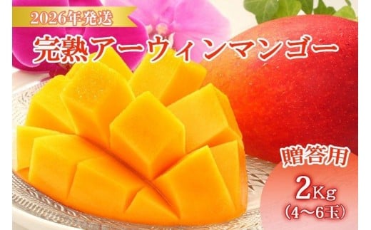 ＜先行予約2026年発送＞宮古島産“完熟アーウィンマンゴー”《贈答用》2kg【福来多まつばらマンゴー園】（MF02）
