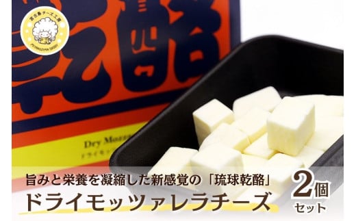 琉球乾酪（ドライモッツァレラチーズ）20g×2（CJ12）｜モッツァレラチーズ チーズ 手作りチーズ 熟成チーズ 贈り物 ギフト スナック おつまみ 食べ比べ 沖縄 宮古島市