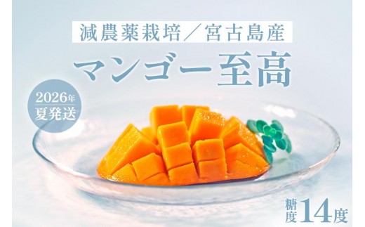 《先行予約》沖縄県宮古島産 減農薬栽培マンゴー 2kg【優品】｜贈答用・糖度14度以上！｜琉球マルシェ