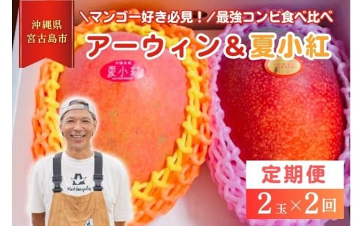 【2026年先行予約】【檬果家】【定期便】マンゴー好き必見！最強コンビ食べ比べ【アーウィン＆夏小紅】（HZ002）