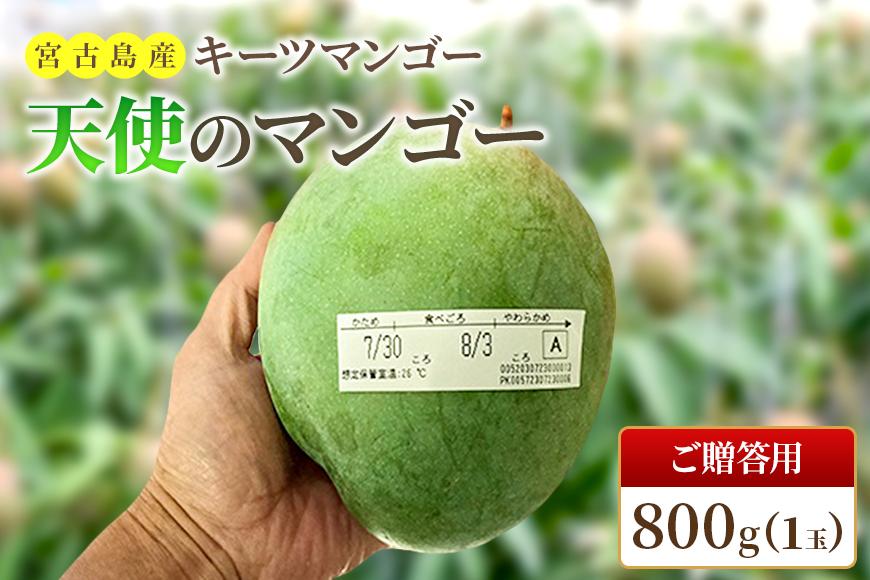 《先行予約 2026年発送》 『天使のマンゴー』宮古島産キーツマンゴー 約800g（1玉）ご贈答用「LA MANGUE BLEUE」農家直送（GZ005）