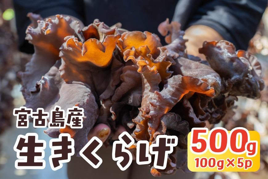 宮古島産生きくらげ（５パック）（KD01）