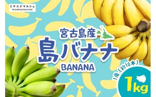 宮古島産バナナ1kg【（株）フラモン】（JH007）