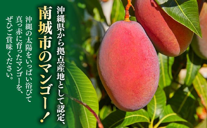 アップルマンゴー家庭用 約1.8kg（5～7玉）白箱