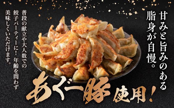 【美ら島あぐ～】餃子（20個入り／1パック×20個入り） 1P入 20個