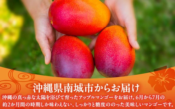 【先行予約】糖度15度以上！最高級プレミアムマンゴー約1kg（2玉）