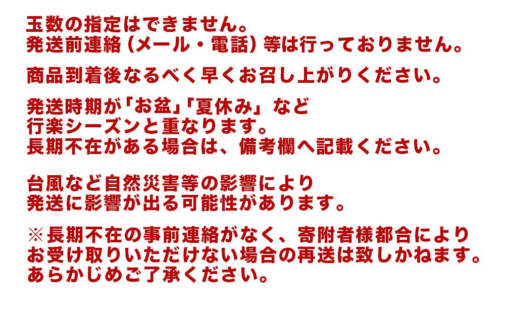 【2026年発送・先行予約】南城市観光協会が厳選！プレミアムアップルマンゴー約1.5kg