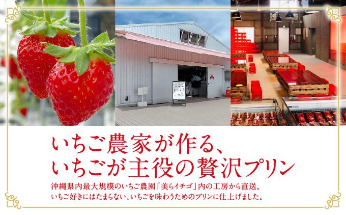 ごろっとイチゴとなめらかプリン（南城市／美らイチゴ）   I  いちご プリン スイーツ セット  美らイチゴ デザート ご当地 スイーツ  沖縄県 南城市 プリン6個