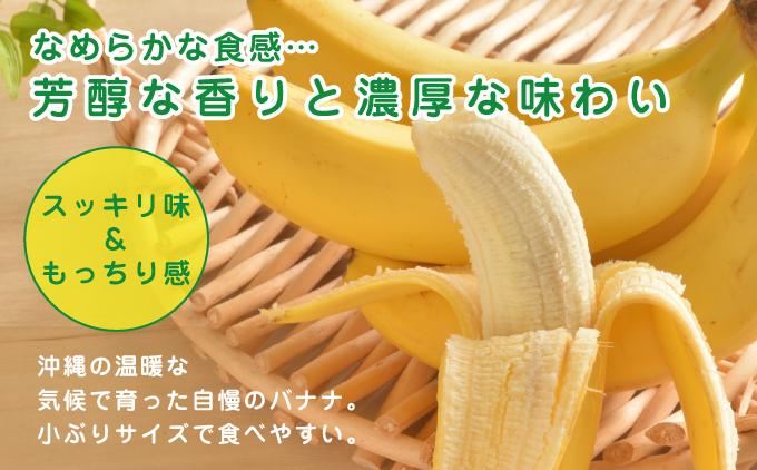 アップルバナナ4kg 約4kg