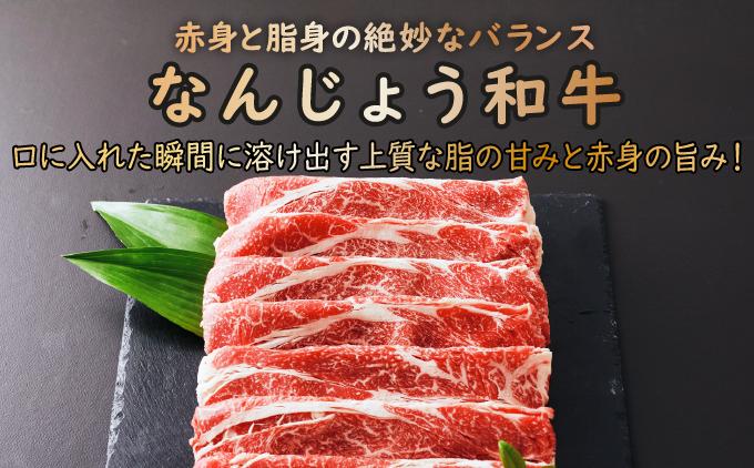 《極上の味わい》和牛しゃぶしゃぶ用 200g×6パック 合計1200g なんじょう和牛   I   和牛しゃぶしゃぶ 2パック ブランド和牛 牛肉 200g 1200g 6パック  沖縄県 南城市 1.2kg(200g×6パック)