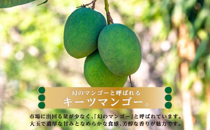 キーツマンゴー1kg  贈答用 １kg