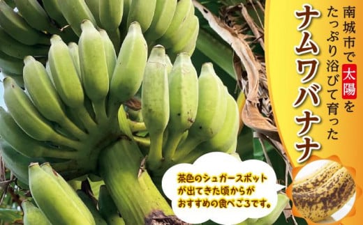 バナナ 南城市 ナムワバナナ3kg 3kg
