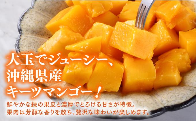 【先行予約】贈答用キーツマンゴー　約800g  化粧箱