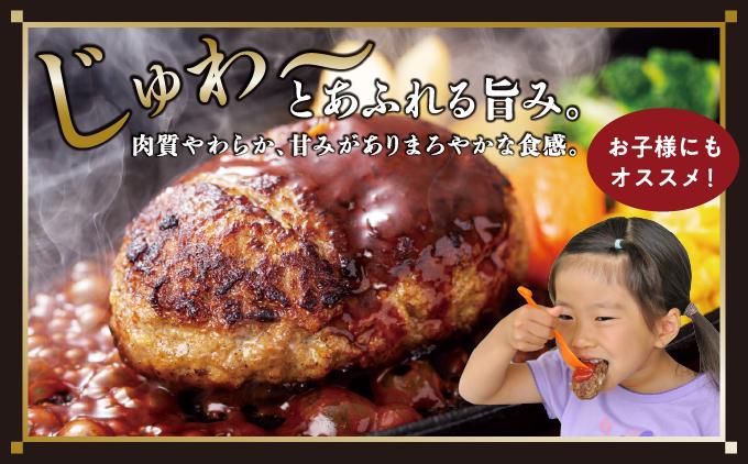 《あぐ?豚の旨みを凝縮》ハンバーグ 120g × 12個（1440g）冷凍【美ら島あぐ～】|沖縄県 南城市 沖縄従来アグーと良質な白豚をかけあわせた 豚肉のハンバーグ 1.44kg 送料無料 12個入り