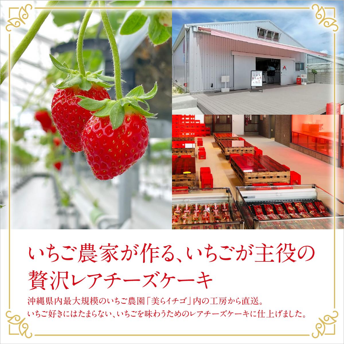 ごろっとイチゴとレアチーズ（南城市／美らイチゴ）   I  いちご レアチーズ スイーツ デザート 美らイチゴ ご当地 スイーツ  沖縄県 南城市 レアチーズ6個