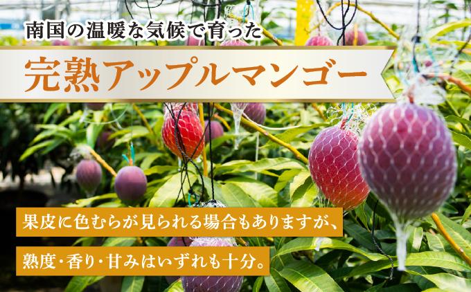 【2026年発送】高平農園の完熟アップルマンゴー【家庭用】 1kg(2~3玉)