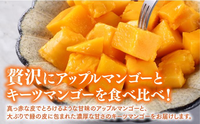 【先行予約】＜8月発送＞アップルマンゴー1,5kg　化粧箱 &＜9月発送＞キーツマンゴー2kg　化粧箱