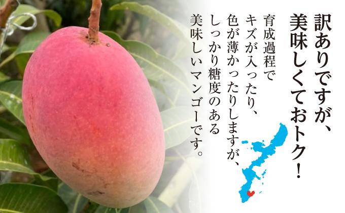 ★【2026年発送】＜訳あり・ご家庭用＞完熟アップルマンゴー約2kg（白箱）3玉～7玉