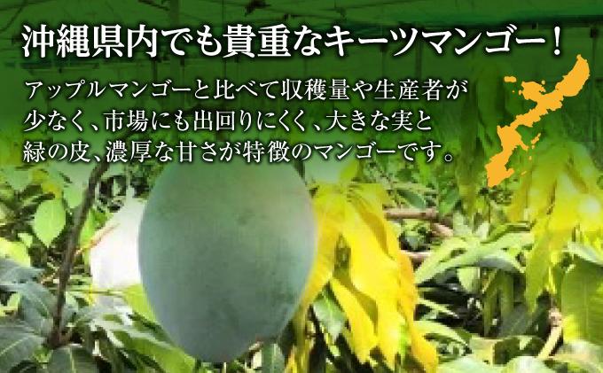 (先行受付)【2026年発送】キーツマンゴー 南城市 約2kg (2～3玉) 約2kg（2～3玉）