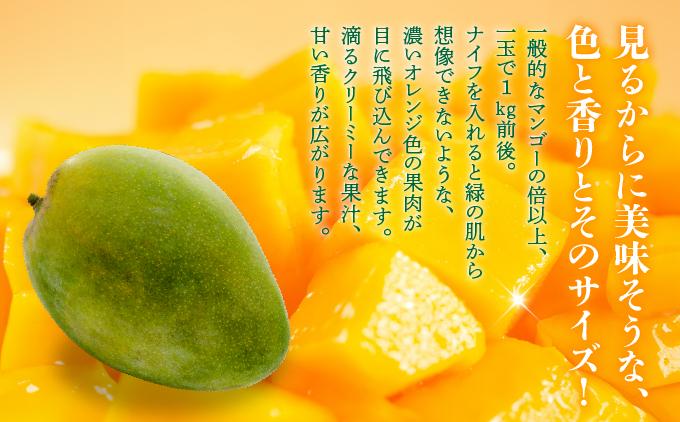 ＜先行予約・数量限定＞キーツマンゴー 秀品（2kg）KM010 秀品（2kg）