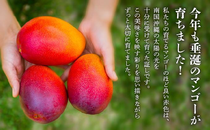 ＜先行予約・数量限定＞アップルマンゴー 良品（2kg）|マンゴー 限定 良品 沖縄県 南城市 2kg 冷蔵 予約 先行受付 アップルマンゴー 送料無料 KM004 良品（2kg）