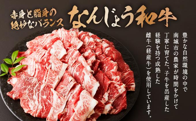 《使い勝手抜群!!》 和牛切り落とし 200g×2パック なんじょう和牛 合計400g |黒毛和牛 和牛 切り落とし モモ ウデ バラ 沖縄県 南城市 牛肉【TM03】 400g(200g×2パック)