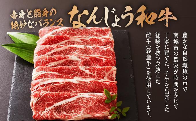 《極上の味わい》和牛しゃぶしゃぶ用 200g×8パック 合計1600g なんじょう和牛|黒毛和牛 しゃぶしゃぶ 牛肉 沖縄県 南城市 送料無料【TM0104】 1.6kg(200g×8パック)