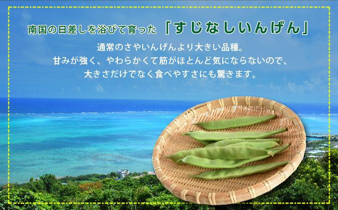 【先行予約】サヤインゲン（ビックリジャンボ）3kg 3kg