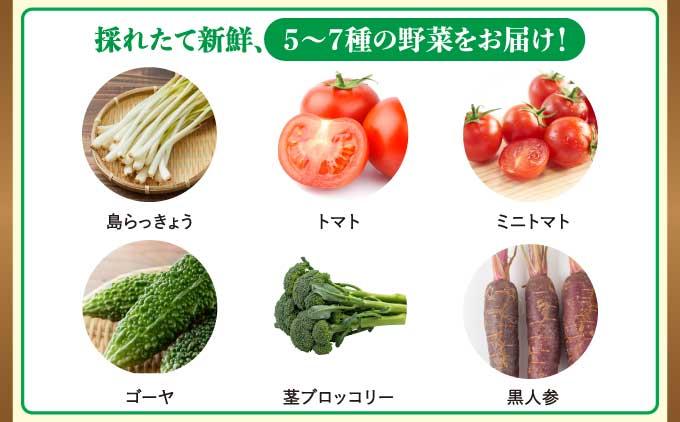 高原の駅なんじょう野菜セット（5～7種）