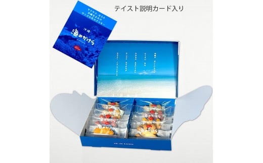 海のかけらクッキー 1箱8個入り2箱セット