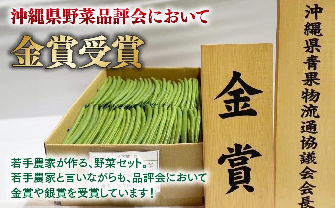 【先行予約】若手農家が作る南城野菜セット