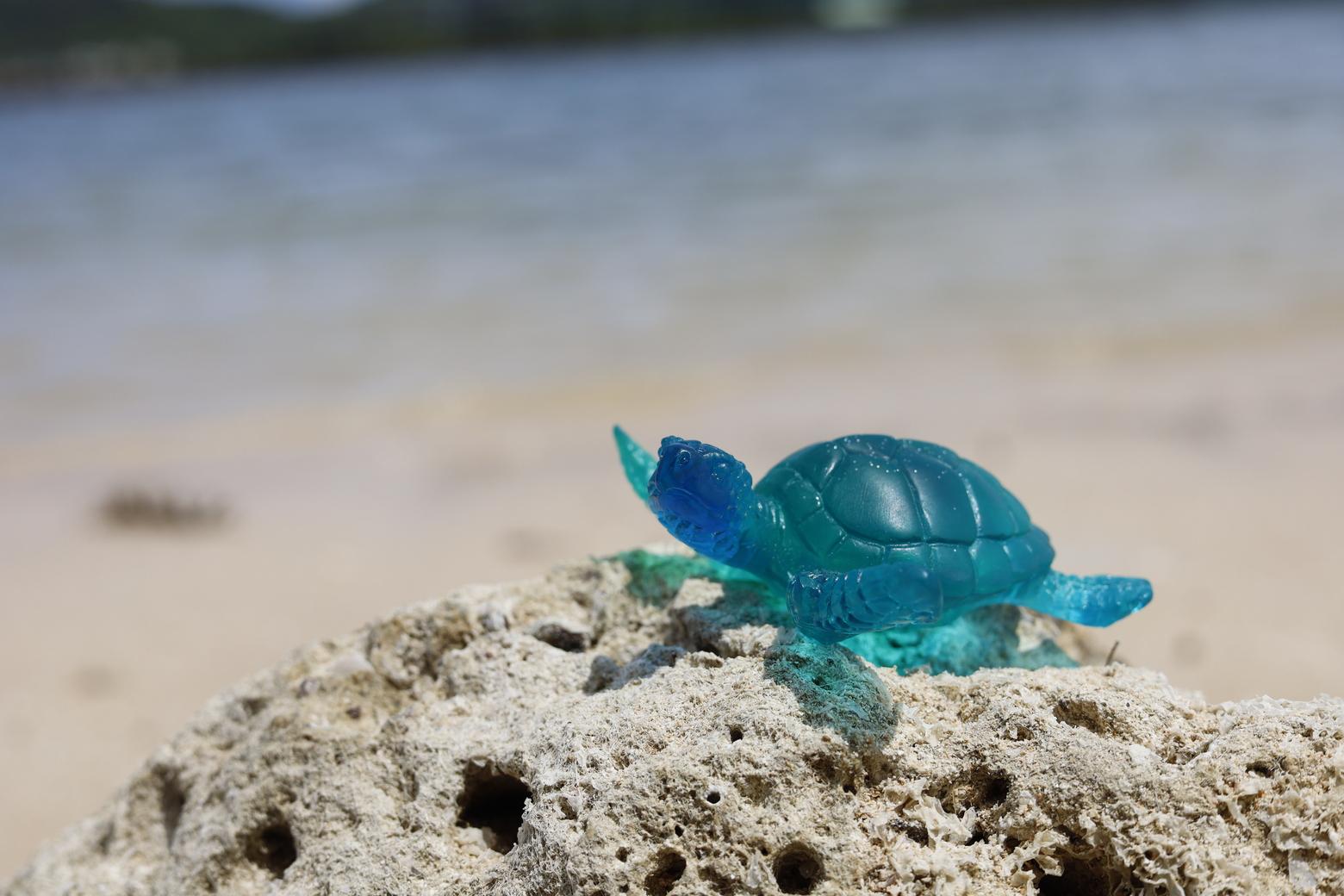 カメフィギュア[DP20]