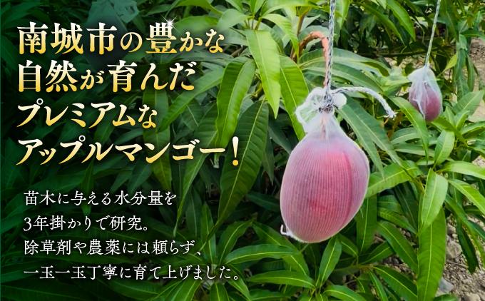 皮ごと味わえる奇跡のプレミアムアップルマンゴー2kg(約4～6玉)【沖縄南城産・家庭用】