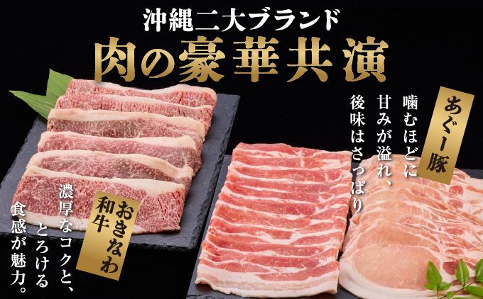 【ふるさと納税】沖縄あぐー豚＆おきなわ和牛の贅沢食べ比べセット（2.5kg）   I  アグー豚 あぐー豚 あぐ～豚 豚肉 ぶた肉 ブランド豚 沖縄豚 琉球在来豚 2500g 2.5kg  沖縄県 南城市
