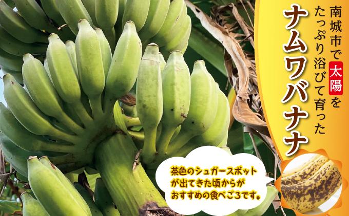 バナナ 南城市 ナムワバナナ 10kg 10kg