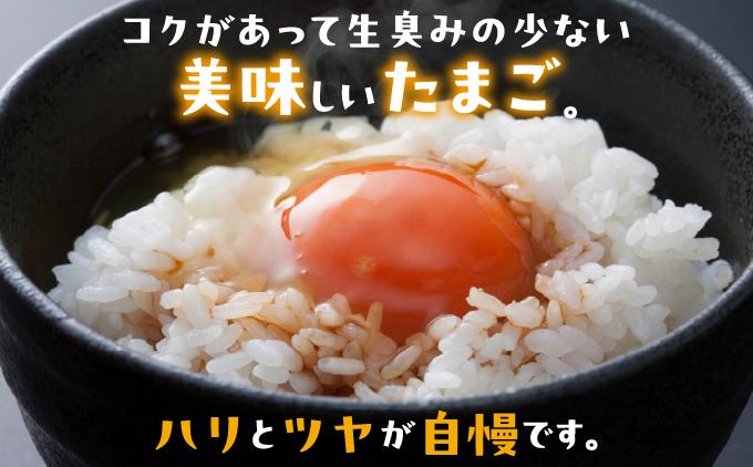 卵の黄身が掴めるほどの新鮮さ 美ら卵養鶏場の卵 60個【12ヶ月定期便】 60個【12ヶ月定期便】