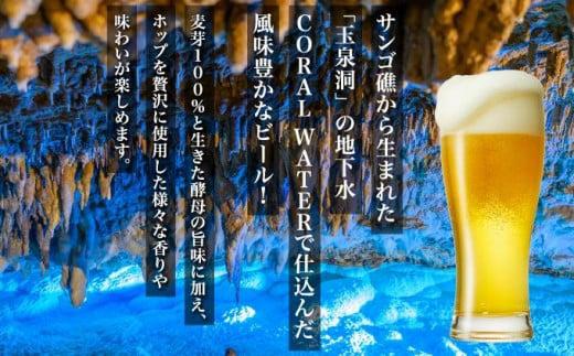 沖縄サンゴビール 定番3種 12本セット   I  クラフトビール 人気 地元  ビール 飲み比べ ギフト用   お土産 お酒  12本  沖縄県 南城市 3種×4本（12本）