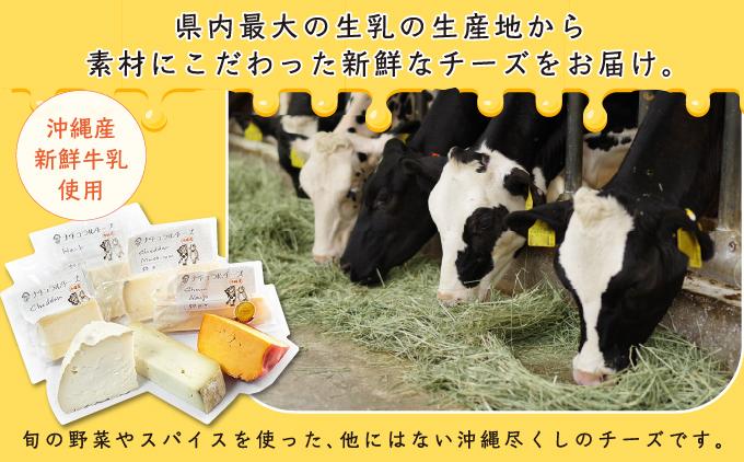 チーズ 詰め合わせ ワインセレクションパック  (75g × 4種類)   I  チーズ 詰め合わせ ワイン おつまみ セット 4種  沖縄県 南城市