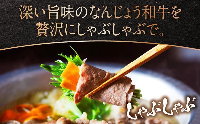 《極上の味わい》和牛しゃぶしゃぶ用 200g×6パック 合計1200g なんじょう和牛|黒毛和牛 しゃぶしゃぶ 牛肉 沖縄県 南城市 送料無料【TM0103】 1.2kg(200g×6パック)