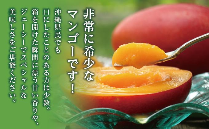 【2026年発送】完熟プレミアムマンゴー約1kg（化粧箱）2玉