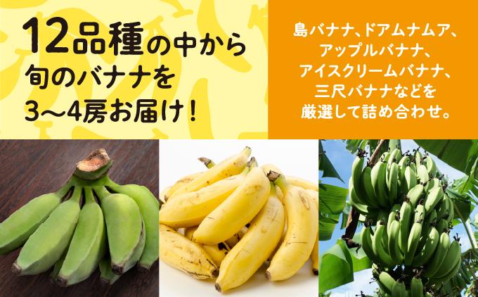 高原の駅なんじょうバナナ3～4房（12品種から旬のものを詰合せ）