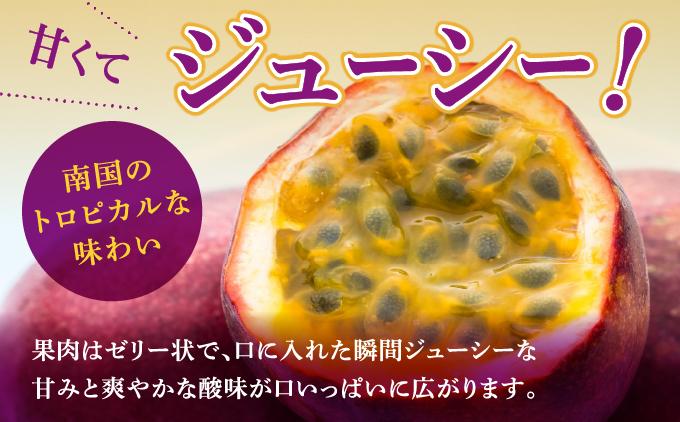 【先行予約】2026年5～6月発送　南城市産パッションフルーツ　約1kg