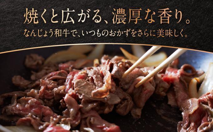 《使い勝手抜群!!》 和牛切り落とし 200g×10パック なんじょう和牛 合計400g |黒毛和牛 和牛 切り落とし モモ ウデ バラ 沖縄県 南城市 牛肉【TM0305】 2kg(200g×10パック)