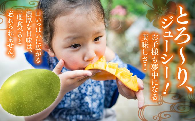 【先行予約】マンゴー好き必見！キーツマンゴー　約2kg  化粧箱