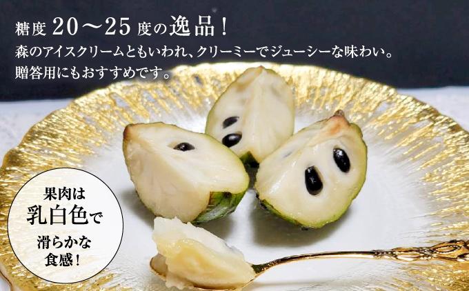 ＜先行受付＞【数量限定】南城市で育った森のアイスクリーム：アテモヤ（２kg箱詰め）   I  アイスクリーム デザート 2000g ２kg  沖縄県 南城市