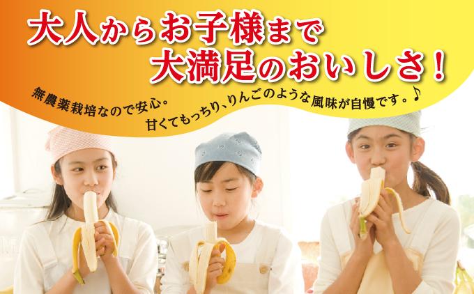 バナナ 南城市 ナムワバナナ 2kg 2kg